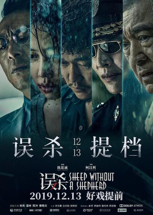 办理荷兰驾驶执照